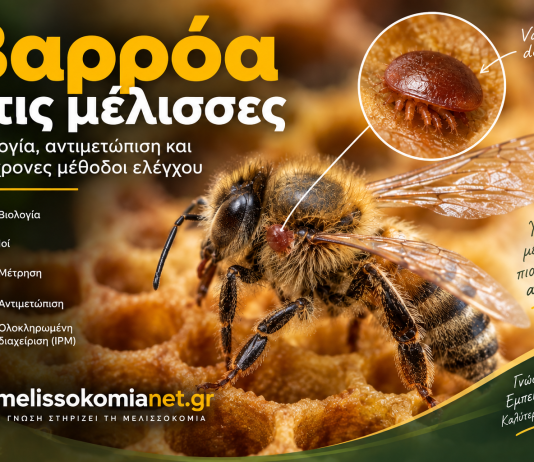 Βαρρόα στις μέλισσες: Βιολογία, αντιμετώπιση και σύγχρονες μέθοδοι ελέγχου