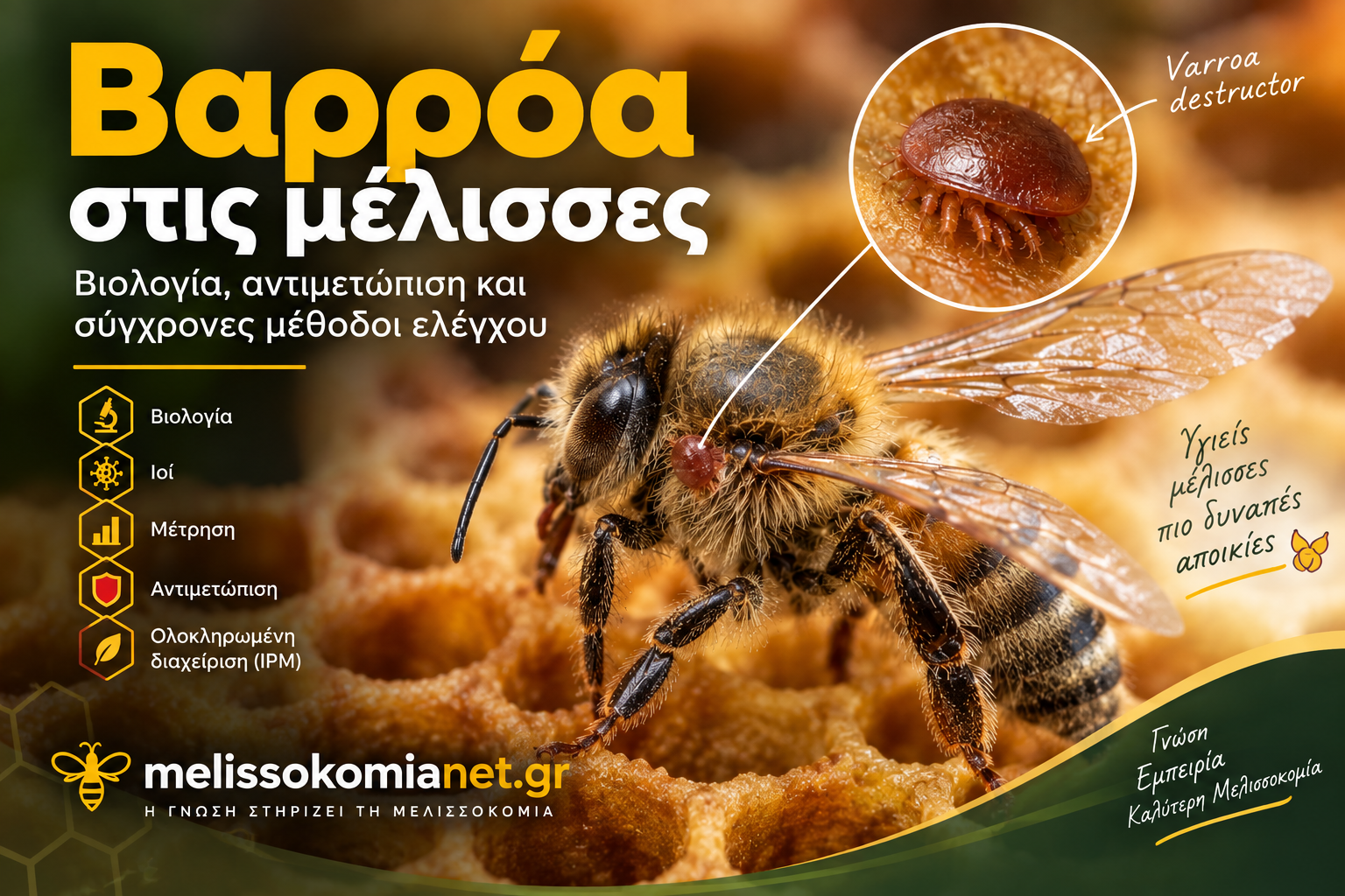 varroa stis melisses