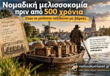 Νομαδική μελισσοκομία πριν από 500 χρόνια: Όταν τα μελίσσια ταξίδευαν με βάρκες