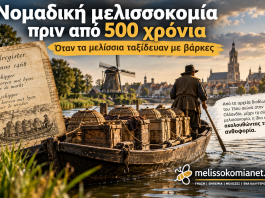 Νομαδική μελισσοκομία πριν από 500 χρόνια: Όταν τα μελίσσια ταξίδευαν με βάρκες