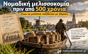 Νομαδική μελισσοκομία πριν από 500 χρόνια: Όταν τα μελίσσια ταξίδευαν με βάρκες