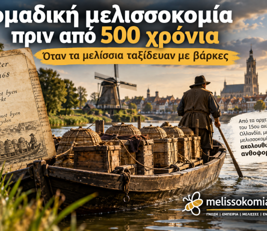Νομαδική μελισσοκομία πριν από 500 χρόνια: Όταν τα μελίσσια ταξίδευαν με βάρκες