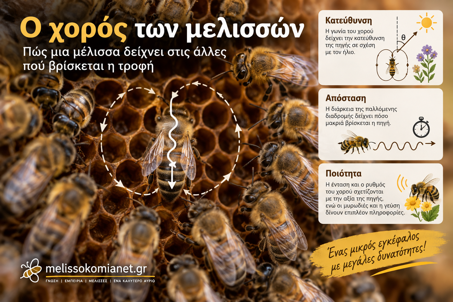 Ο χορός των μελισσών