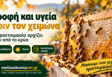Τροφή και υγεία πριν από τη διαχείμαση σε κλειστό χώρο Τροφή και υγεία πριν από τη διαχείμαση σε κλειστό χώρο — ενημερωτική εικόνα melissokomianet.gr