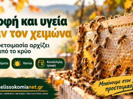 Τροφή και υγεία πριν από τη διαχείμαση σε κλειστό χώρο Τροφή και υγεία πριν από τη διαχείμαση σε κλειστό χώρο — ενημερωτική εικόνα melissokomianet.gr