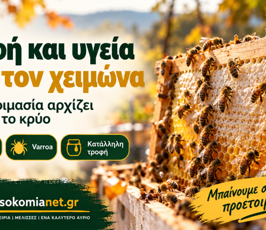 Τροφή και υγεία πριν από τη διαχείμαση σε κλειστό χώρο Τροφή και υγεία πριν από τη διαχείμαση σε κλειστό χώρο — ενημερωτική εικόνα melissokomianet.gr