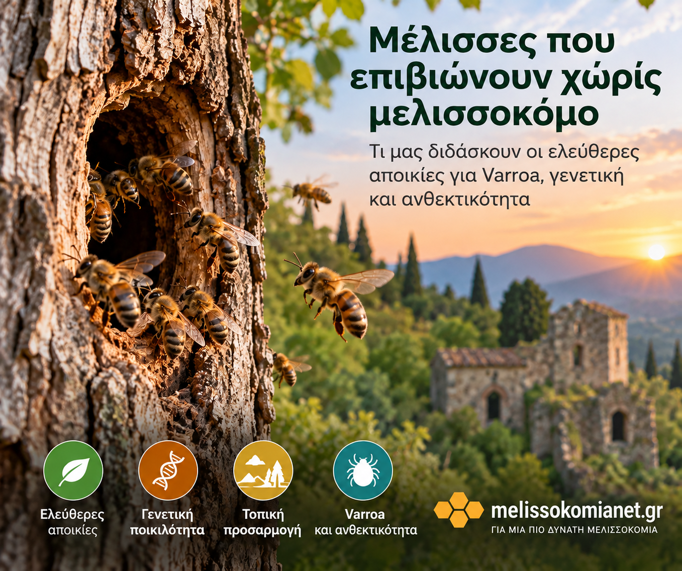 Άγριες Μέλισσες στο Δάσος 1