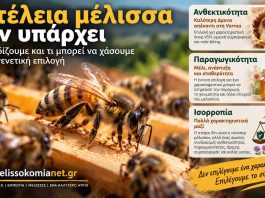 Η «τέλεια μέλισσα» δεν υπάρχει: Τι κερδίζουμε και τι μπορεί να χάσουμε με τη γενετική επιλογή Η Τέλεια Μέλισσα Δεν Υπάρχει