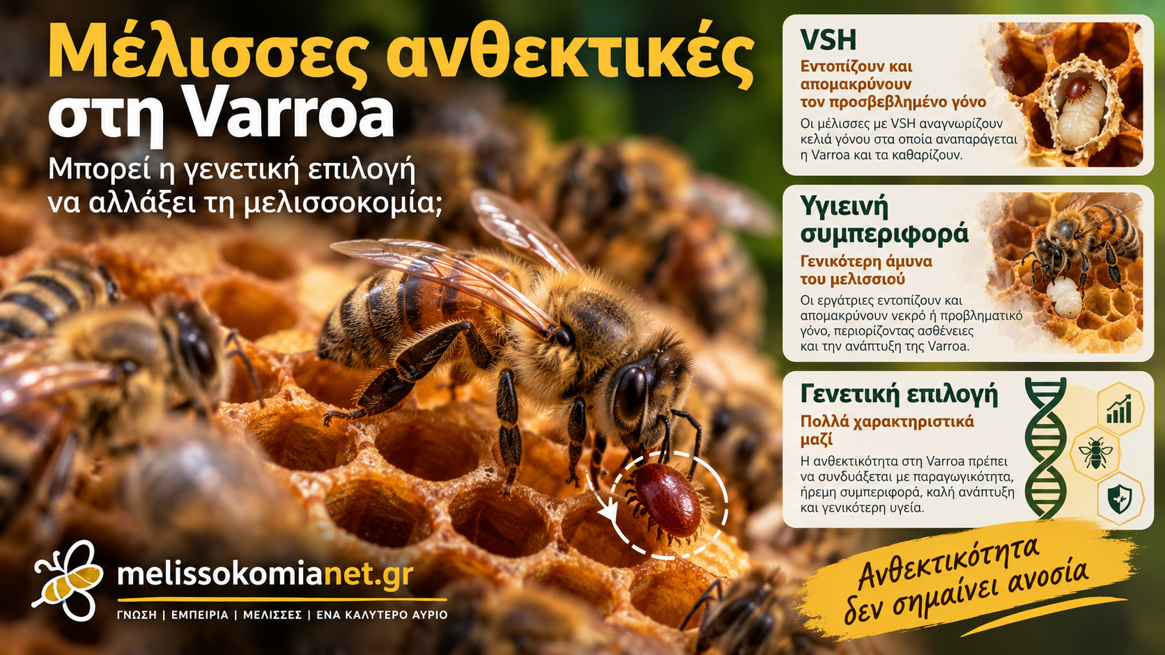 Μέλισσες ανθεκτικές στη Varroa_clean